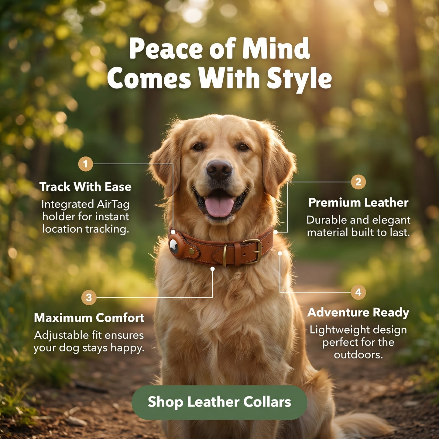 Leather Dog Collar with Location Tracker